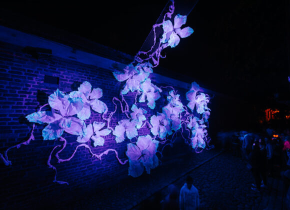 instalacja świecących pnących kwiatów | 3. Skyway Festival