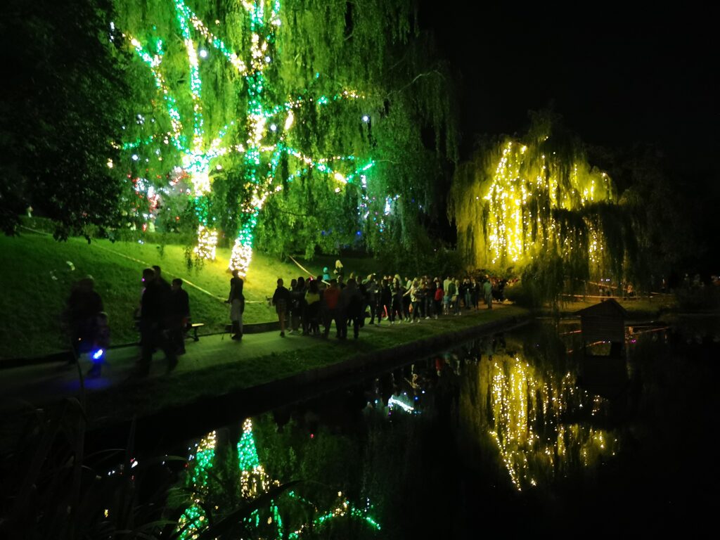 Instalacja świetlna na drzewach i jej odbicie w wodzie_BSF