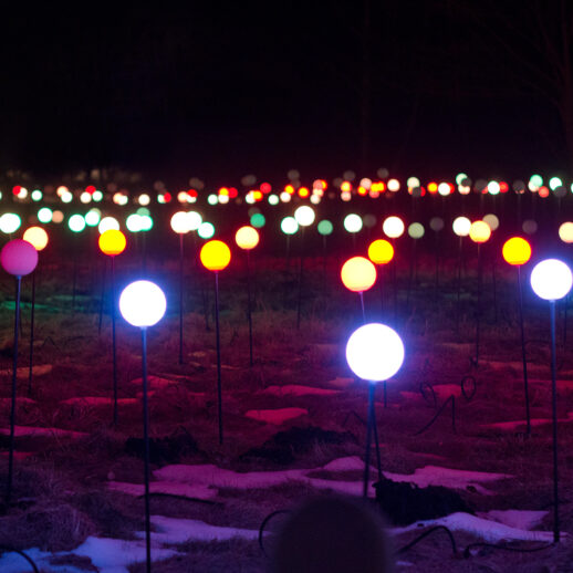 łąka zbudowana z metalowych elementów zakończonych świecącymi kulami tworząca instalację świetlną | BSF