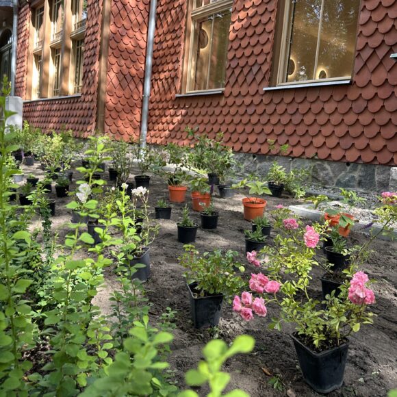 „Ogród w HUBie” – nowa zielona przestrzeń