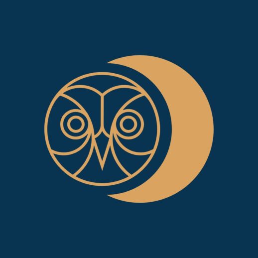 Toruń wsłucha się w noc. Przed nami Noc Sów 2026