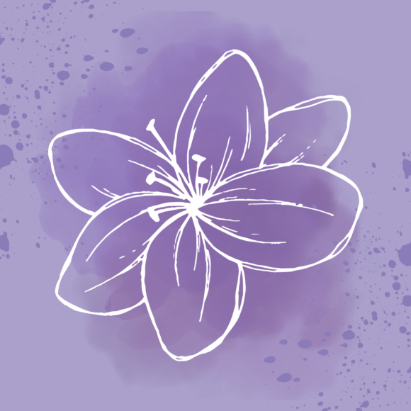 Warsztaty – Kwietny kolaż na płótnie